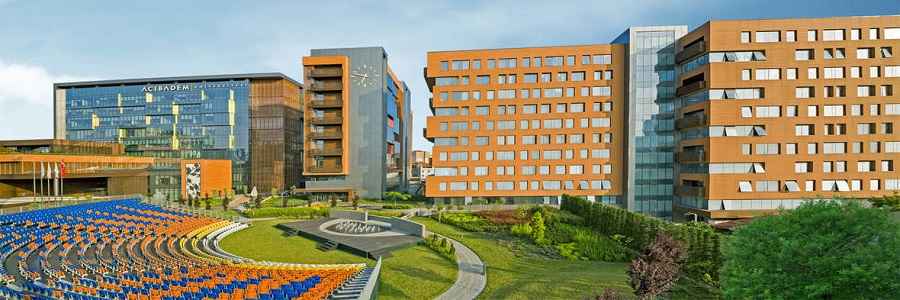 رتبه دانشگاه آجی بادام