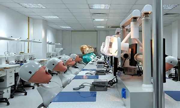 رشته‌ها در دانشگاه ینی یوزییل استانبول